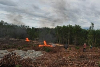 20 ha rừng keo ở Thừa Thiên Huế cháy rụi