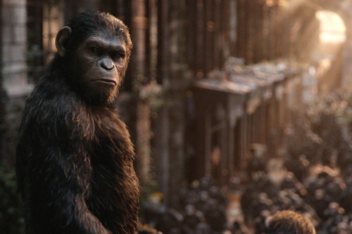Những chú khỉ làm 'nóng' điện ảnh thế giới