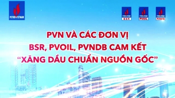 TVC Xăng dầu Dung Quất